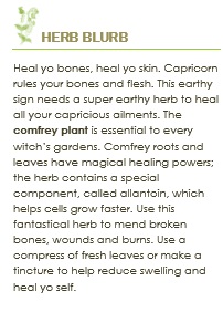 herb blurb capricorn
